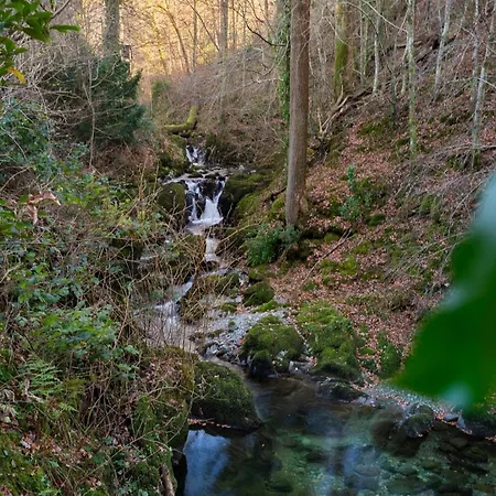 Hollybrook 度假居 *