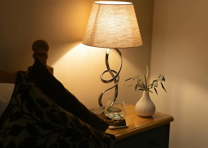 Hollybrook 度假居 安布尔塞德