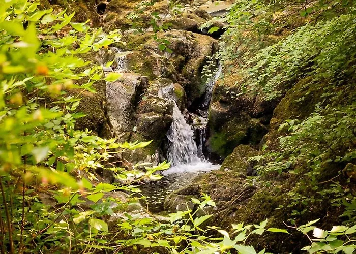 Hollybrook * 安布尔塞德