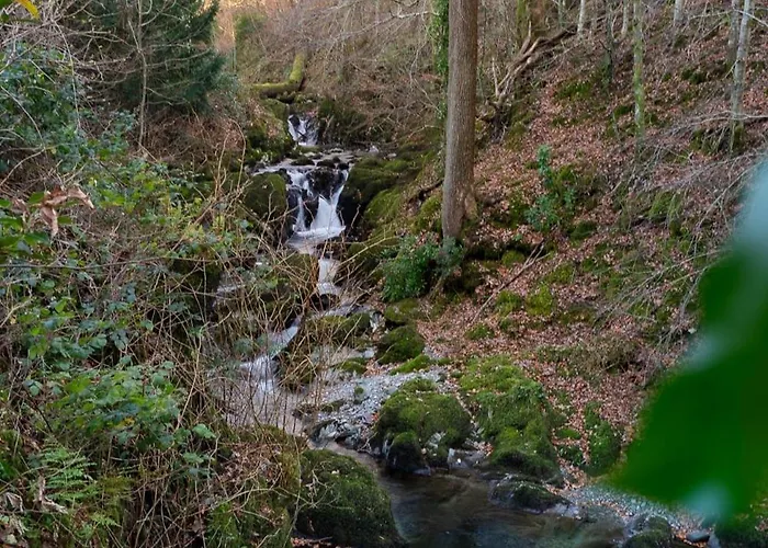 Hollybrook 度假居 *