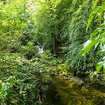 Hollybrook *