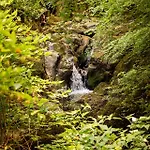 Hollybrook * 安布尔塞德