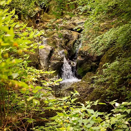 Hollybrook * Эмблсайд